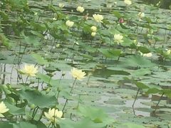 -木塔寺遗址生态公园