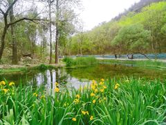 -白水寺森林公园