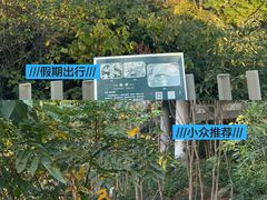 -福道