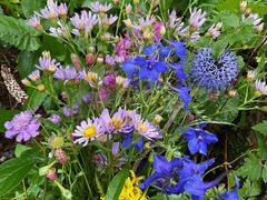 -白草畔自然风景区