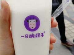 -一只酸奶牛(益州国际店)