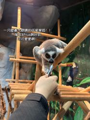 -Zoolung Zoolung动物主题公园(海信广场店)