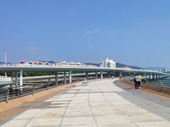 -演武大桥观景平台