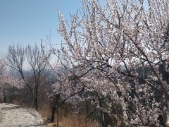-香山公园