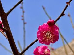 -北京明城墙遗址公园