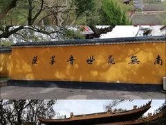 -东极岛景区
