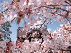 -京都御所