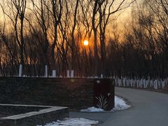 -东郊湿地公园