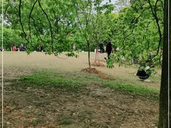 -南山植物园