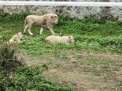 -泉州海丝野生动物世界