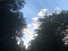 -沈阳奥体冰雪嘉年华