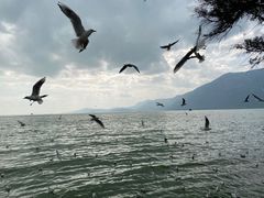 -滇池海埂公园