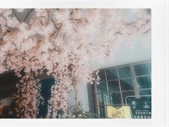 -sugarman espresso素饮糖人高新咖啡工厂