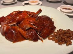 招牌鏞記燒鵝-镛记酒家
