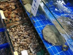 水产区-香满居张记小厨私房菜(青岛站店)
