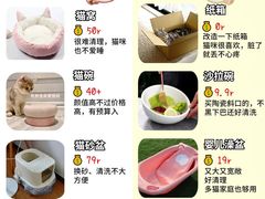 -翊宠yipet猫狗购宠庄园犬舍•猫舍