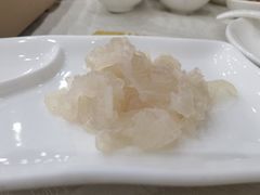 -金瑞轩大酒楼·顺德鱼生·粤菜海鲜(东江国际店)