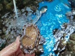 -正能量1号海鲜加工店