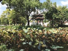 -惠州西湖丰渚园