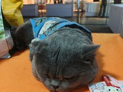 -成都银泰城
