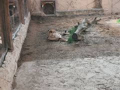 -上海野生动物园