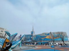 -海合安青岛极地海洋公园
