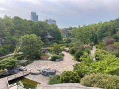 -上海吴淞炮台湾国家湿地公园
