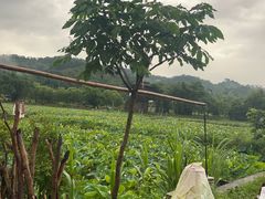 -红山村