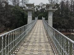 -东湖落雁景区
