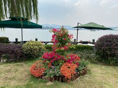 -杭州西湖柳莺里酒店·闻莺厅