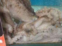 -海味当家(西安路店)