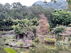-深圳仙湖植物园