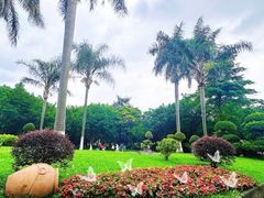 -番禺大夫山森林公园