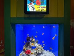 -海合安青岛极地海洋公园