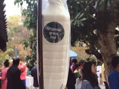 牛奶-Bamboo Saturday Market(Nana Jungle)