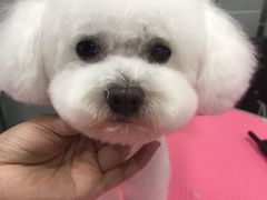 -宠福鑫康馨动物医院·骨科·眼科