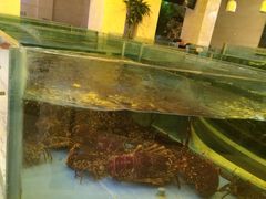iphone_upload_pic-旺顺阁海鲜广场(亚运村店)