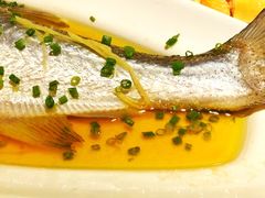 -熠盛粤味·顺德桑拿鸡(永康路店)