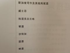 -新加坡航空公司(ION)