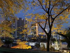 -鸿山公园