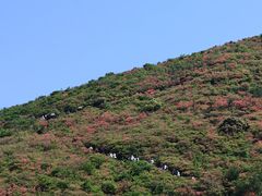 -大围山国家森林公园