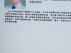 -北京观赏动物医院·24小时大型综合·猫专科·异宠专科