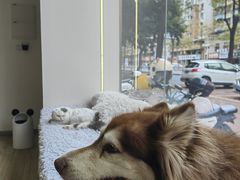 -拜鲁耶动物诊疗中心·宠家动物医院