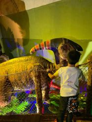 点击看大图 -恐龙探索乐园(磁器口店)