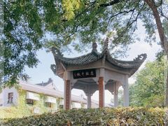 -江心屿景区