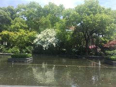 -招商银行(上海漕河泾支行)