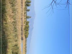 -野鸭湖国家湿地公园