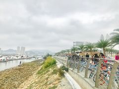 -野狸岛
