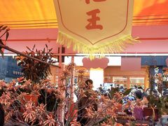 -越秀西湖花市(广州城市广场花卉店)