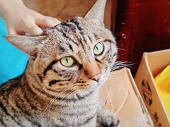-正阳书局(西四南大街店)
